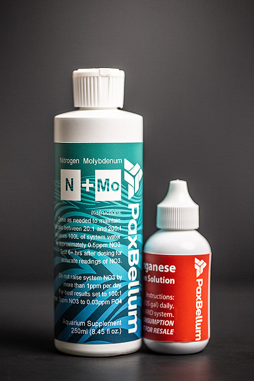 ARID N24 Macroalgae Reactor